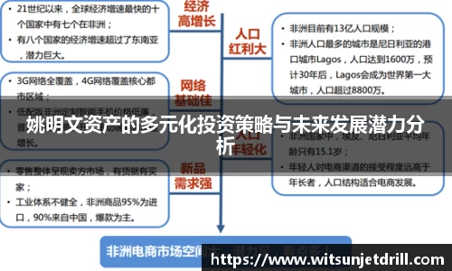 姚明文资产的多元化投资策略与未来发展潜力分析