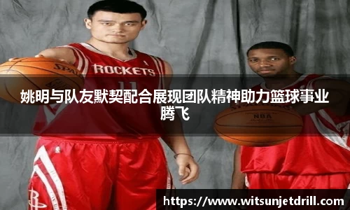 zoty中欧官方网站